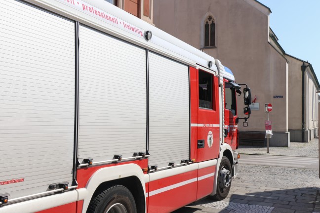 	Feuerwehr bei Tierrettung in Wels-Innenstadt im Einsatz