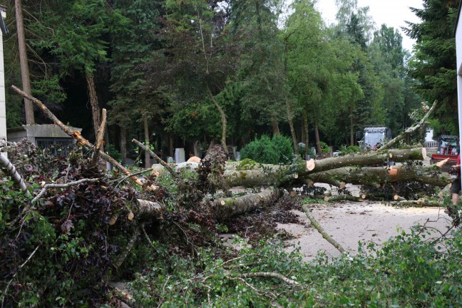 	Sturmschäden: Umfangreiche Aufräumarbeiten nach heftigem Unwetter in Ried im Innkreis