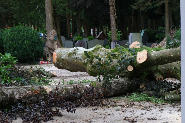 	Sturmschäden: Umfangreiche Aufräumarbeiten nach heftigem Unwetter in Ried im Innkreis