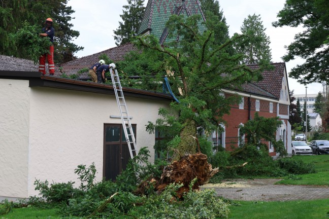 	Sturmschäden: Umfangreiche Aufräumarbeiten nach heftigem Unwetter in Ried im Innkreis