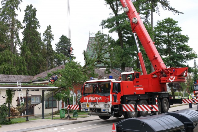 	Sturmschäden: Umfangreiche Aufräumarbeiten nach heftigem Unwetter in Ried im Innkreis