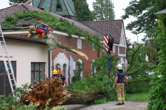 	Sturmschäden: Umfangreiche Aufräumarbeiten nach heftigem Unwetter in Ried im Innkreis