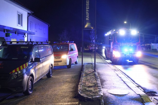 	Nächtliche Rettung einer Katze von einem Dachvorsprung eines Gebäudes in Wels-Pernau