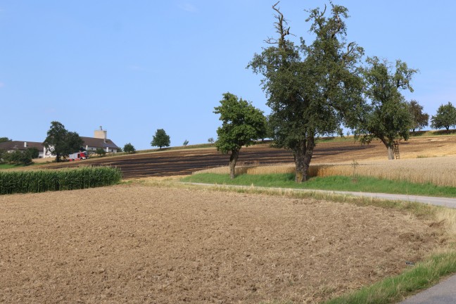 	Sieben Feuerwehren bei Feldbrand in Piberbach im Einsatz