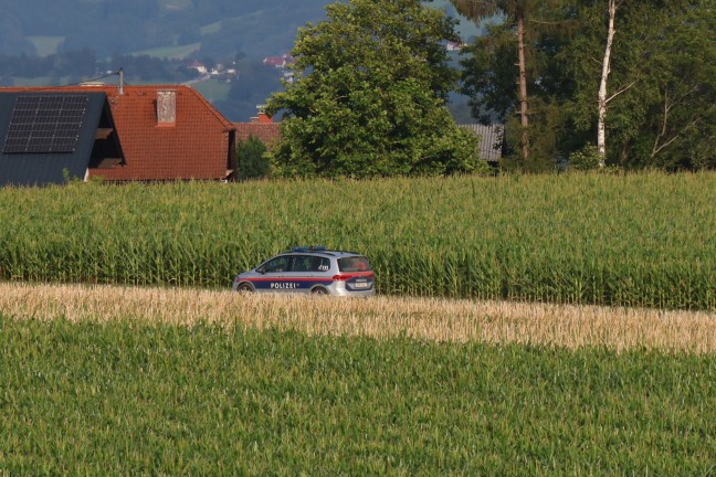 	Sierning: Einsatzkräfte zu Personenrettung von einem Jägerhochstand alarmiert