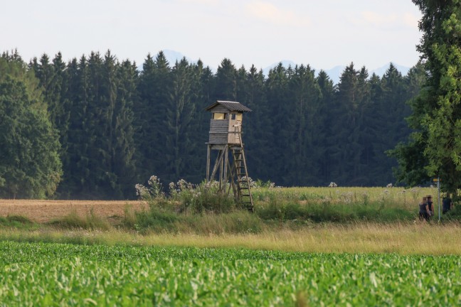 	Sierning: Einsatzkräfte zu Personenrettung von einem Jägerhochstand alarmiert