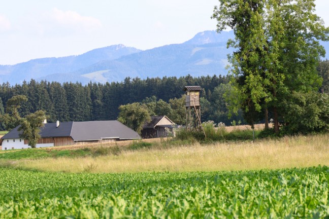 	Sierning: Einsatzkräfte zu Personenrettung von einem Jägerhochstand alarmiert