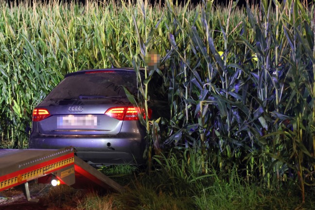 	Auto im Maisfeld: PKW bei Verkehrsunfall in Steinerkirchen an der Traun von Straße abgekommen