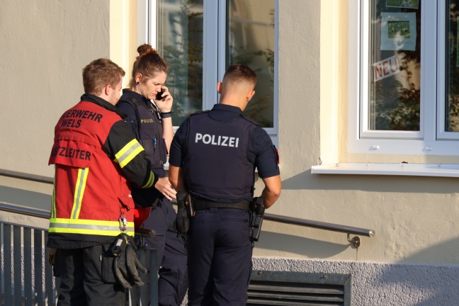 	Lautes Piepsen löste Einsatz von Feuerwehr und Polizei in Wels-Lichtenegg aus