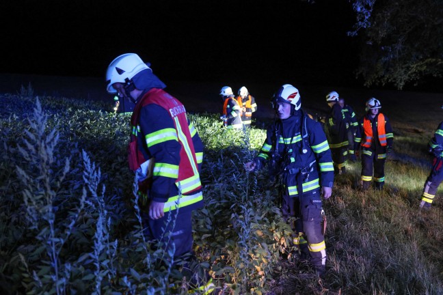 	Zwei Tote: Unfallopfer bei Buchkirchen nach Frontalaufprall an Baum im Auto verbrannt