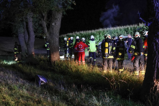 	Zwei Tote: Unfallopfer bei Buchkirchen nach Frontalaufprall an Baum im Auto verbrannt