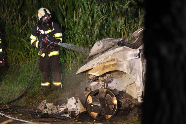 	Zwei Tote: Unfallopfer bei Buchkirchen nach Frontalaufprall an Baum im Auto verbrannt