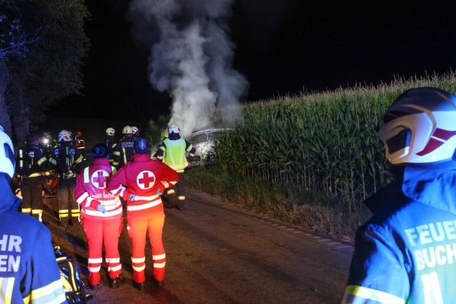 	Zwei Tote: Unfallopfer bei Buchkirchen nach Frontalaufprall an Baum im Auto verbrannt