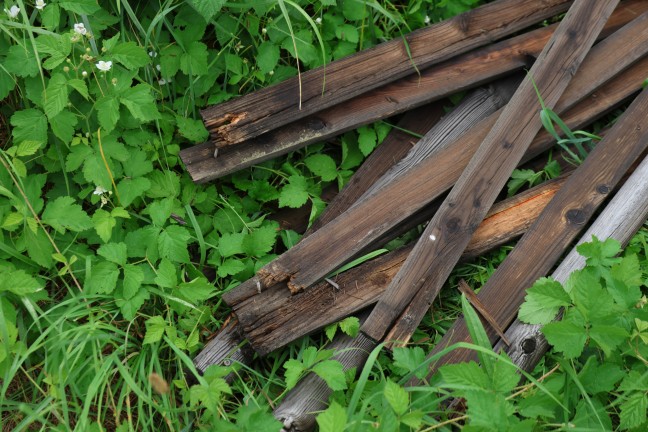 	Sicherungsarbeiten durch Feuerwehr an Eisenbahnunterführung in Wels-Vogelweide