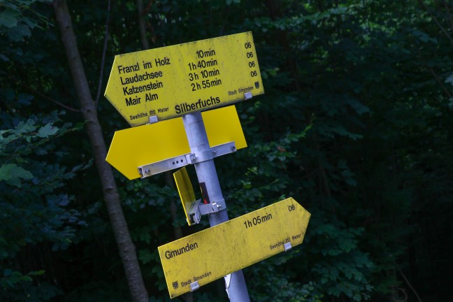 	Gmunden: Einsatzkräfte der Feuerwehr zu Personenrettung aus unwegsamem Gelände alarmiert