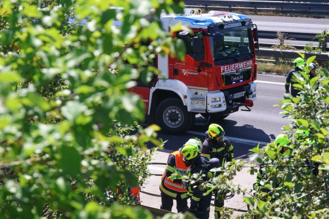 	Auto stand auf Innkreisautobahn bei Meggenhofen in Vollbrand