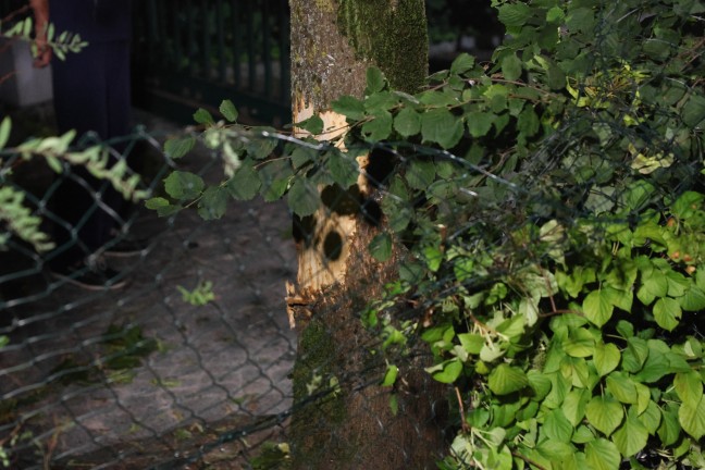 	Auto auf Atterseestraße bei Seewalchen am Attersee von Straße abgekommen und gegen Baum gekracht