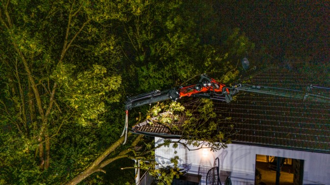 	Gewitter im Innviertel: Baum in St. Peter am Hart auf Wohnhaus gestürzt