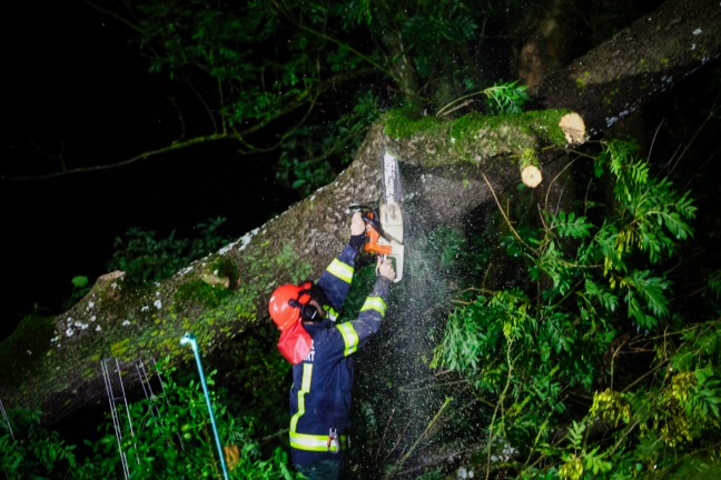 	Gewitter im Innviertel: Baum in St. Peter am Hart auf Wohnhaus gestürzt