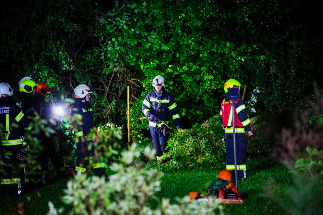 	Gewitter im Innviertel: Baum in St. Peter am Hart auf Wohnhaus gestürzt