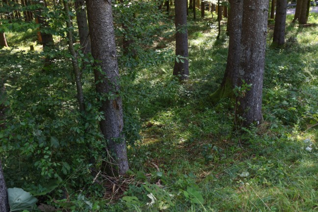 	Tödlicher Motorradunfall: 49-Jähriger prallte bei Altmünster in einer Kehre mit Kopf gegen Baum