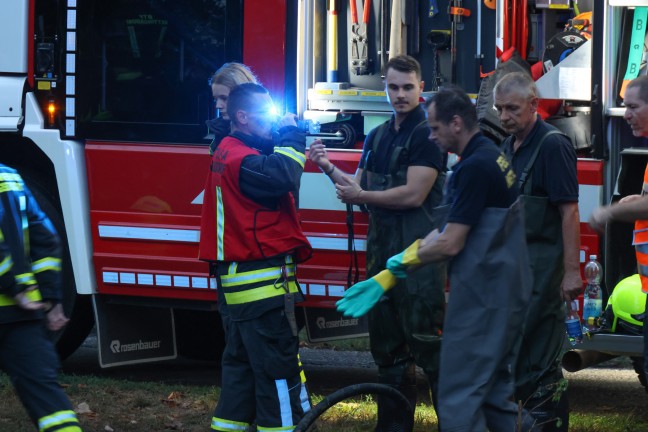 	Umweltalarm: Schaumaustritt in die Krems sorgt für großen Schadstoffeinsatz in Ansfelden