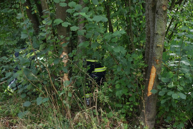 	Auto gegen Baum: Eine Tote und drei teils Schwerverletzte bei folgenschwerem Unfall in Waizenkirchen