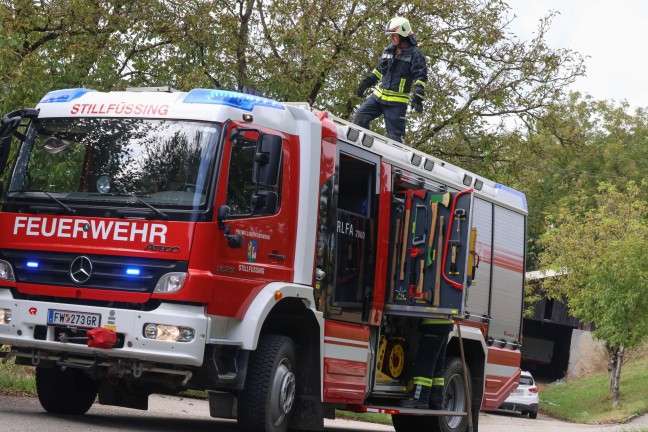 	Auto gegen Baum: Eine Tote und drei teils Schwerverletzte bei folgenschwerem Unfall in Waizenkirchen