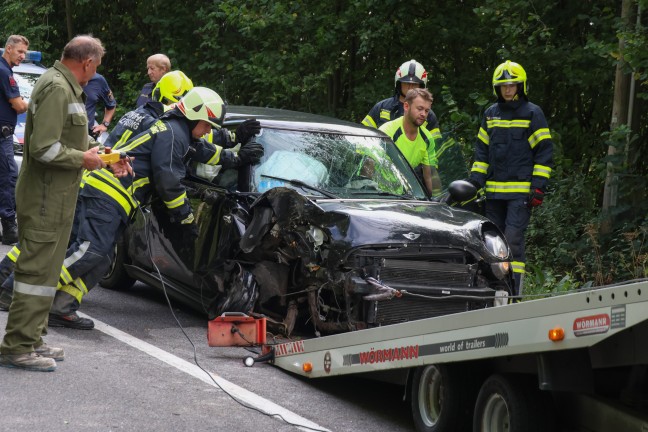 	Auto gegen Baum: Eine Tote und drei teils Schwerverletzte bei folgenschwerem Unfall in Waizenkirchen