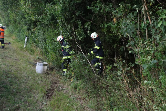 	Waldrand gestreift: Kleintransporter bei Sipbachzell von Fahrbahn abgekommen