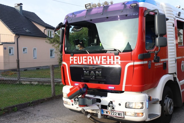 	Müll verbrannt: Feuerwehr und Polizei in Wels-Schafwiesen im Einsatz