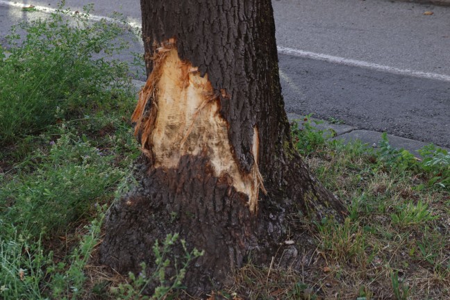 	Auto nach Kollision mit Baum auf Wiener Straße in Wels-Pernau überschlagen