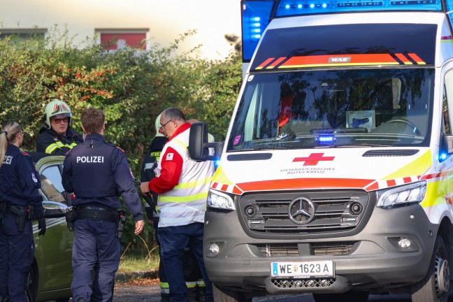 	Tödliche Brandverletzungen: Einsatzkräfte nach Brand in einer Wohnung in Wels-Lichtenegg im Einsatz