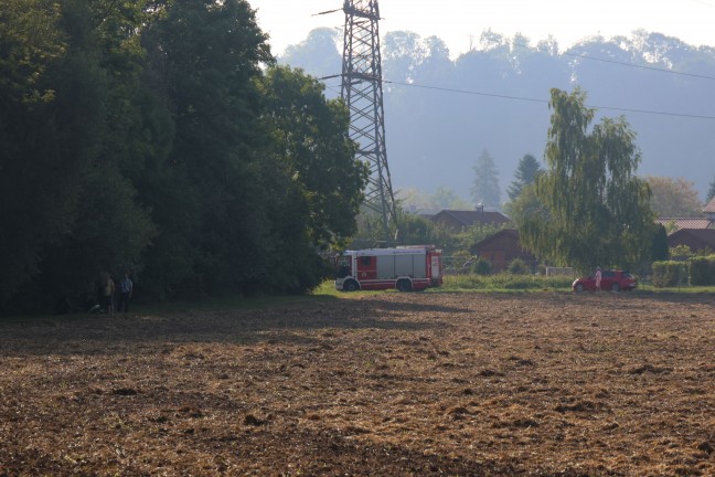 	Geschwächtes Reh aus Mühlbach in Wels-Pernau geborgen