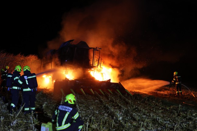 	Mähdrescher stand bei Erntearbeiten auf Feld in Steinhaus in Vollbrand