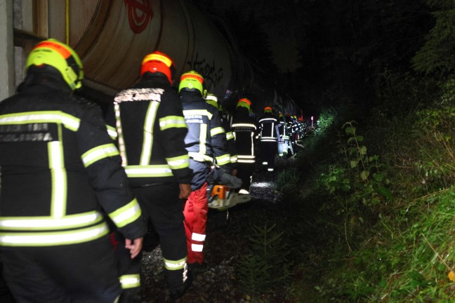 	Einsatz im Gleisbereich: Umgestürzter Baum bei Stadl-Paura blockierte Güterzug