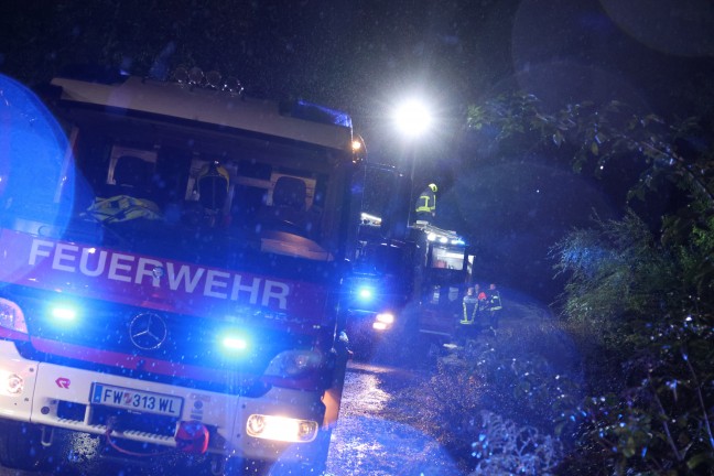 	Einsatz im Gleisbereich: Umgestürzter Baum bei Stadl-Paura blockierte Güterzug