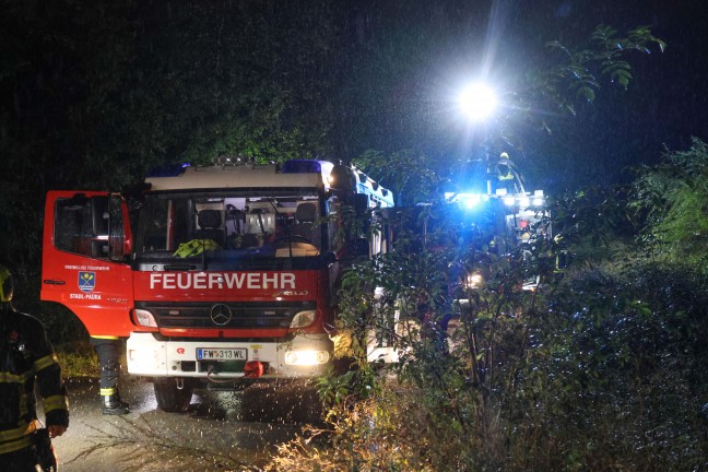 	Einsatz im Gleisbereich: Umgestürzter Baum bei Stadl-Paura blockierte Güterzug