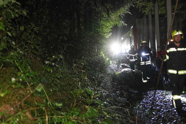 	Einsatz im Gleisbereich: Umgestürzter Baum bei Stadl-Paura blockierte Güterzug