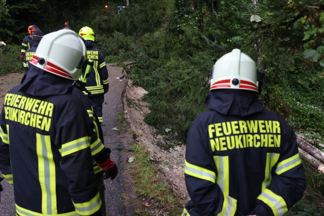 	Hangrutschungen: Angespannte Situation nach tagelangem intensiven Regen in Oberösterreich