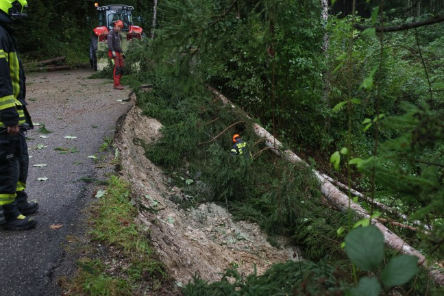 	Hangrutschungen: Angespannte Situation nach tagelangem intensiven Regen in Oberösterreich