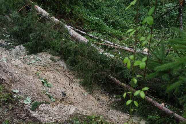 	Hangrutschungen: Angespannte Situation nach tagelangem intensiven Regen in Oberösterreich