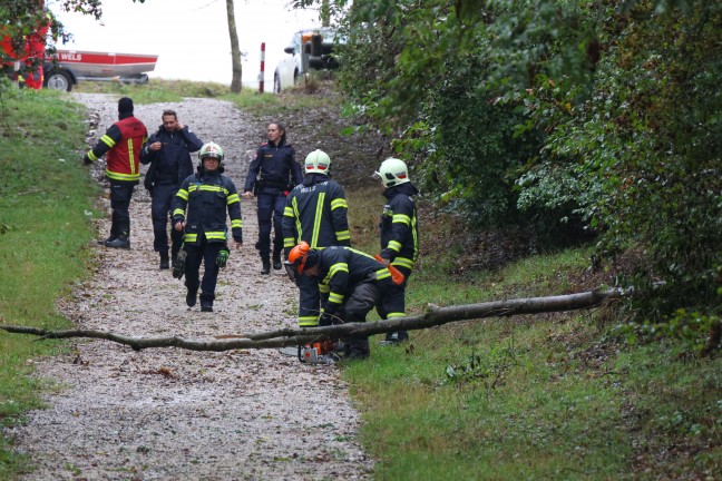 	Kurioser Einsatz: Feuerwehr fischte in Wels-Vogelweide bündelweise Geldscheine aus dem Hochwasser