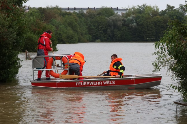 	Kurioser Einsatz: Feuerwehr fischte in Wels-Vogelweide bündelweise Geldscheine aus dem Hochwasser