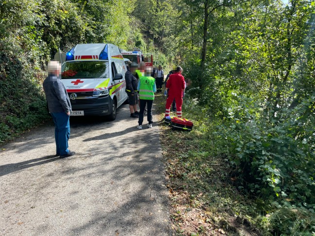 	Personenrettung: Lenkerin eines E-Bikes bei Sturz in Haibach ob der Donau schwer verletzt