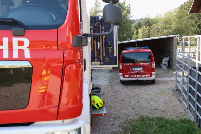 	Feuerwehr bei Unterstützung einer Tierärztin in einem Pferdestall in Pennewang im Einsatz