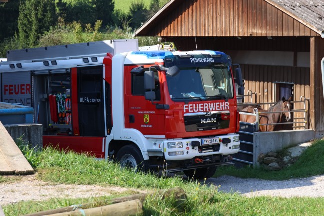 	Feuerwehr bei Unterstützung einer Tierärztin in einem Pferdestall in Pennewang im Einsatz