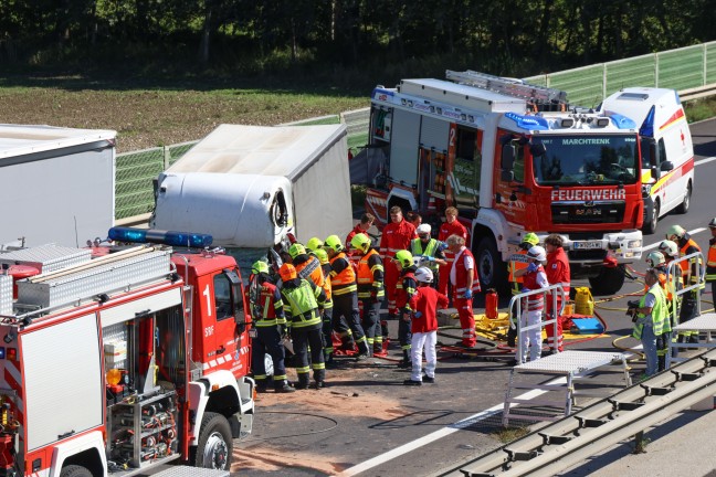 	Schwerst eingeklemmt: LKW-Lenker bei Auffahrunfall auf Welser Autobahn in Marchtrenk schwer verletzt