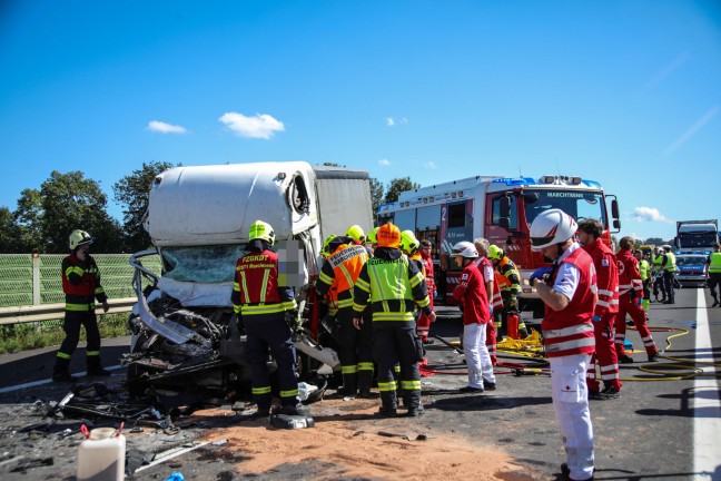 	Schwerst eingeklemmt: LKW-Lenker bei Auffahrunfall auf Welser Autobahn in Marchtrenk schwer verletzt