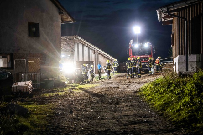 	Einsatz zweier Feuerwehren: Pferd auf Bauernhof in Moosbach in Güllegrube gestürzt